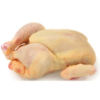 Tum Piliç